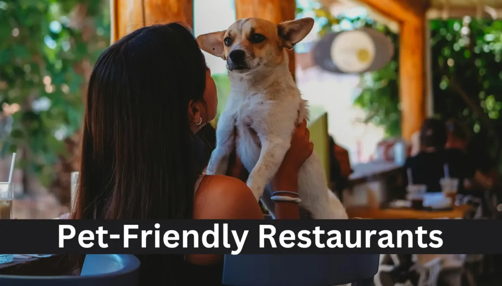 Woman with a Dog in a Restaurant