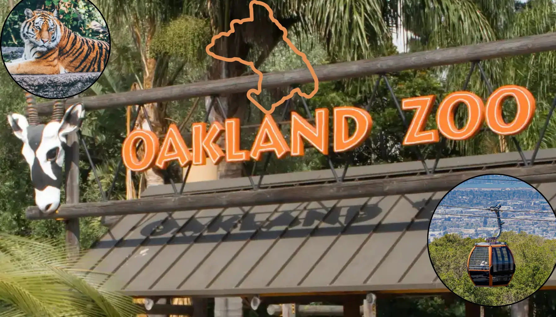 Plan Your Visit to Oakland Zoo: Hours, Tickets, Discounts, and Must ...