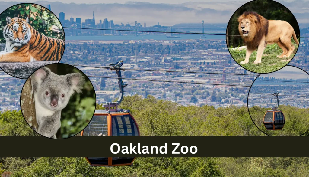 Oakland Zoo Ticket Price