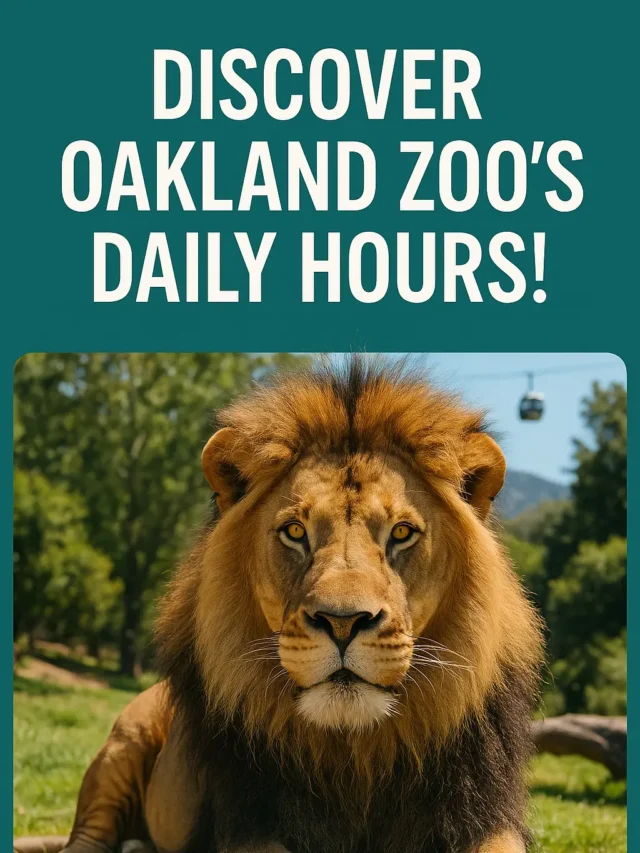 Discover Oakland Zoo’s Daily Hours! | Oakland Zoo Hours